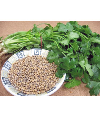 KİŞNİŞ 10 GR
