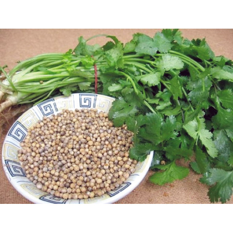 KİŞNİŞ 10 GR