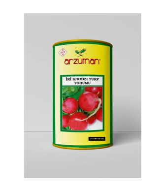 İRİ KIRMIZI TURP 100 g