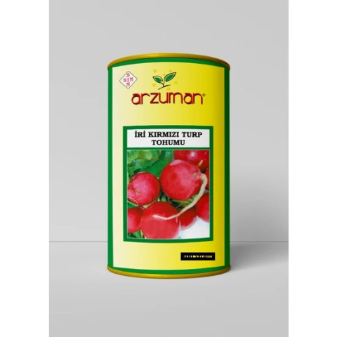 İRİ KIRMIZI TURP 100 g